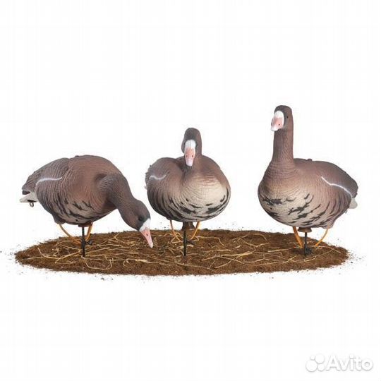 Чучела гусей для охоты живое перо North way Alfa