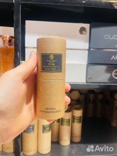 Kirke tiziana terenzi