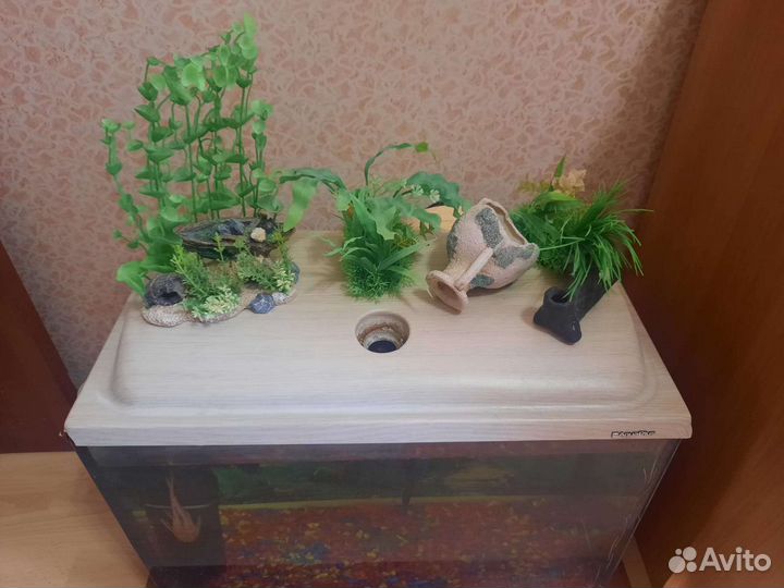 Морской аквариум с рыбками