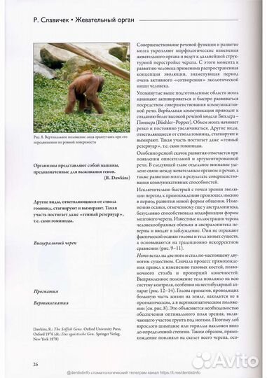 Жевательный орган. Рудольф Славичек