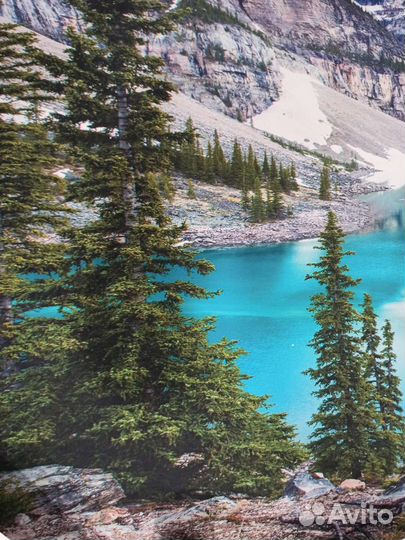 Постеры, постер на стену