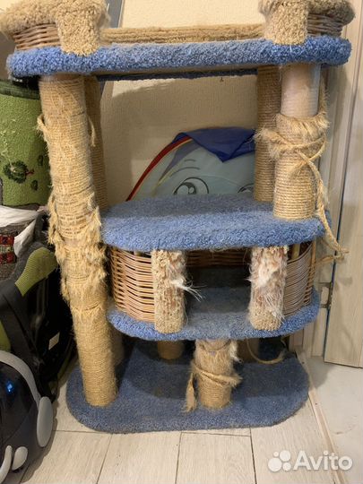 Домик когтеточка для большой кошки бу