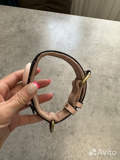 Ошейник для собак apple-gps трекер