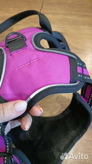 Шлейка для собаки