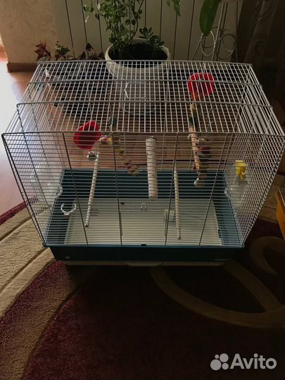 Клетка для попугая бу
