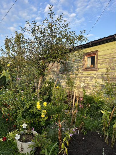 Дача 42 м² на участке 3,1 сот.