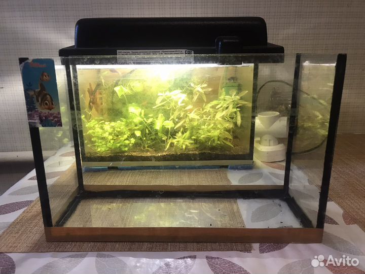 Аквариум 7,5 литров