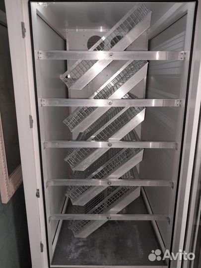 Инкубатор блиц