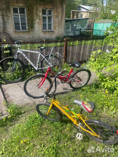Велосипеды взрослый и детский