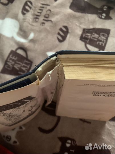 Книга с пословицами, поговорками, загадками