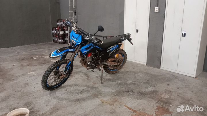 Регульмото спорт 003 про 2024