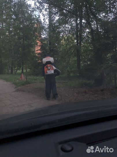 Обработка от клопов тараканов клещей