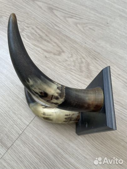 Рога вешалка