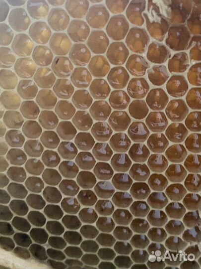 Липовый, Натуральный Мед