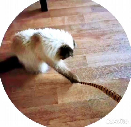 Игрушка для кота