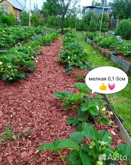 Кора сибирской лиственницы.Мульча