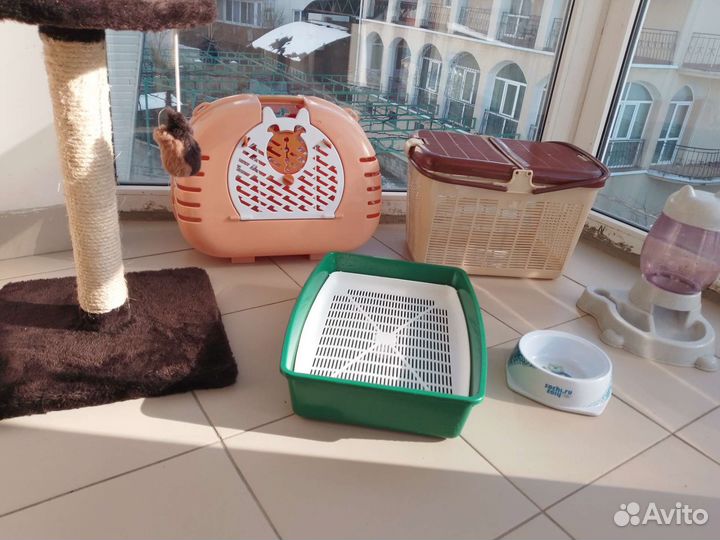 Когтеточка для кошек переноски