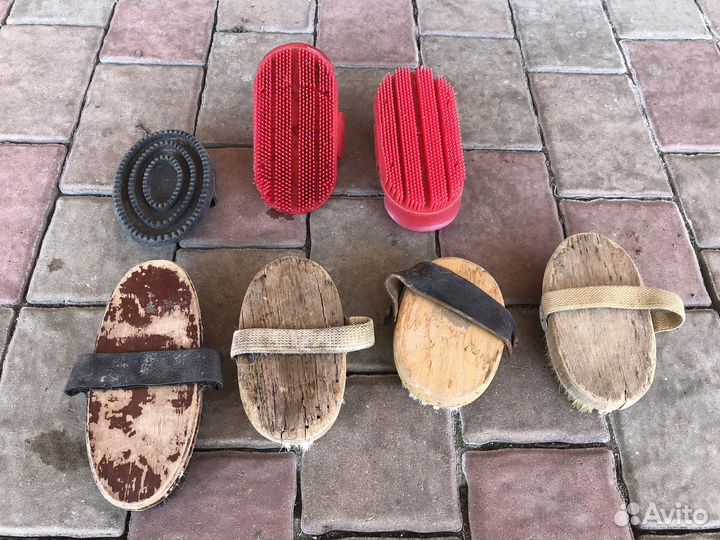 Щетки для ухода за лошадью, повод