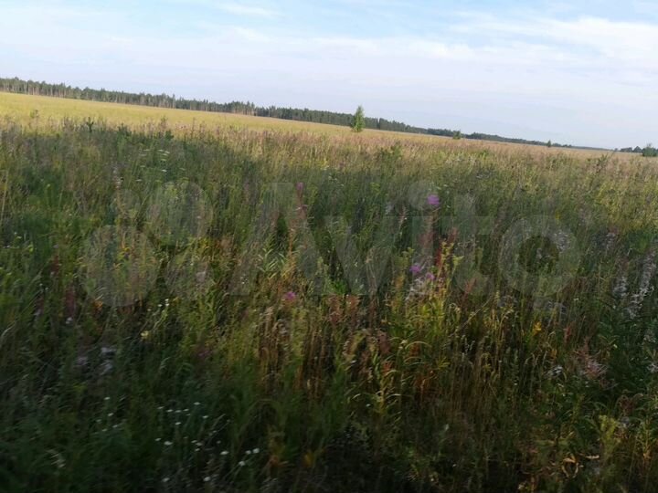 Участок 5,2 га (СНТ, ДНП)