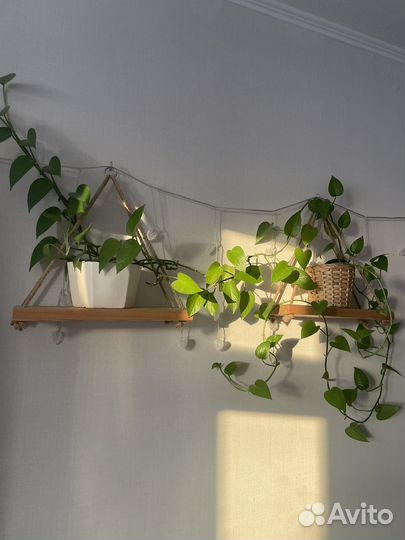 Полка подвесная на канатах