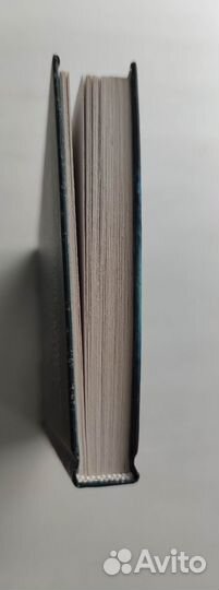 Книга Дворец теней, Агнар Лирхус