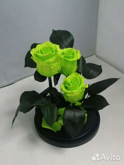 Роза в колбе оптом и в розницу