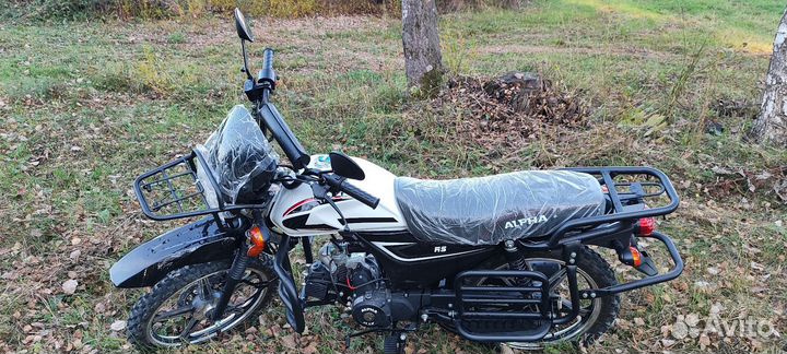 Аlpна fоrеstеr RS 11