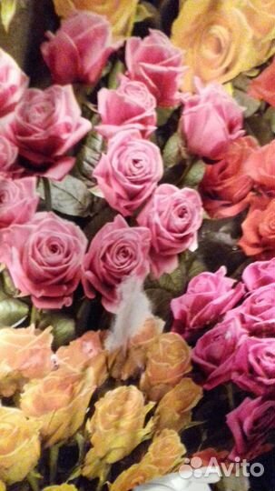 Клеенка для кухни