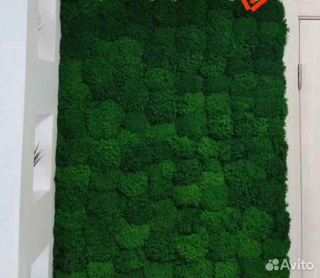 Стабилизированный мох для декора стен