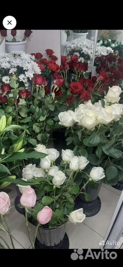 Продам готовый бизнес цветочный магазин