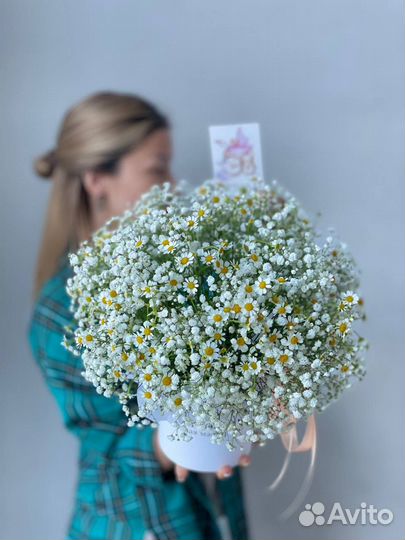 Гипсофила и ромашки