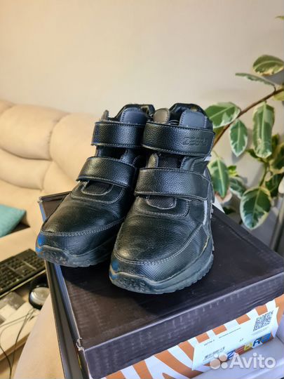 Ботинки демисезонные Zebra