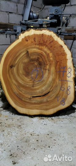 Слебы спилы