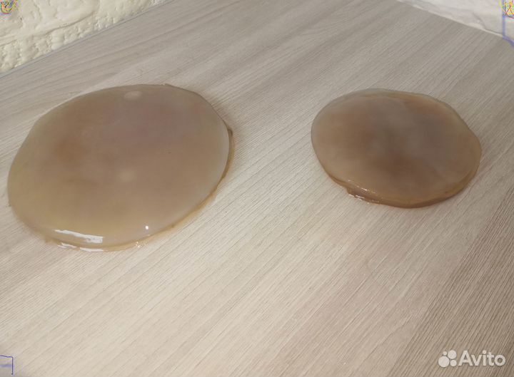 Чайный гриб