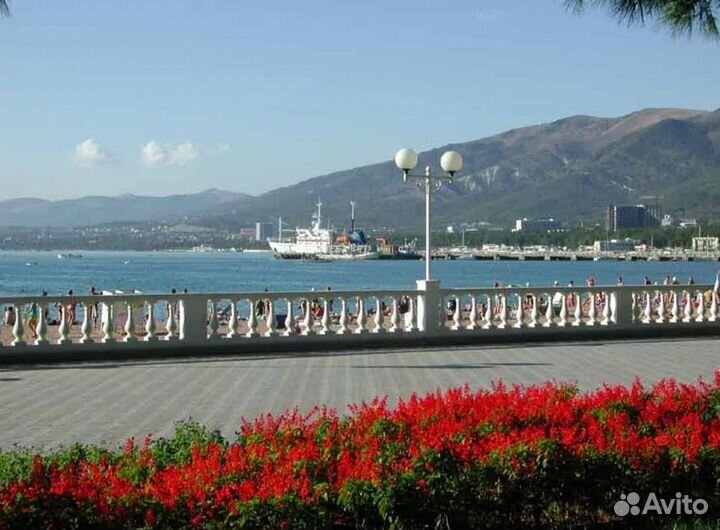 Go в г. Геленджик от 7 нч