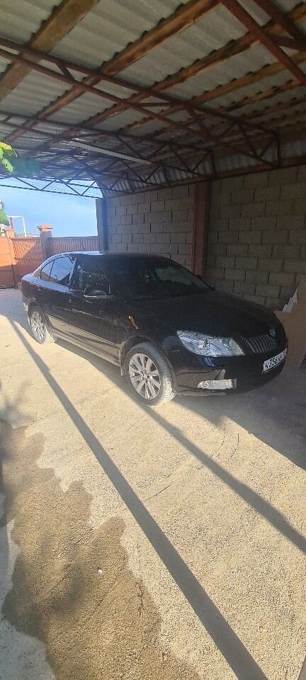 Skoda Octavia: фото владельца