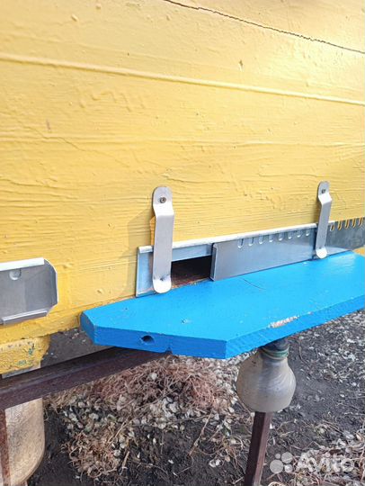 Заградитель летковый