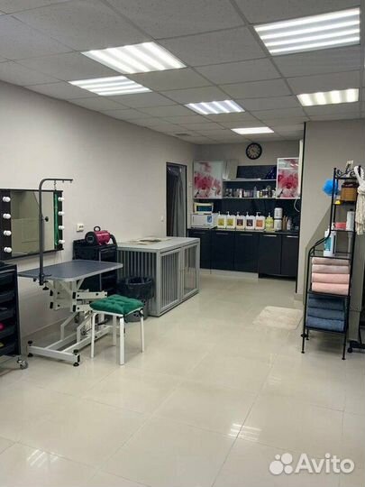 Аренда рабочего места для Грумера