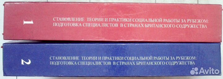 Становление теории и практики социальной работы за