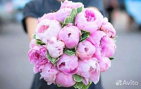 Пионы Розы Доставка