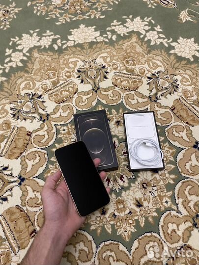 iPhone 12 Pro Max, 256 ГБ