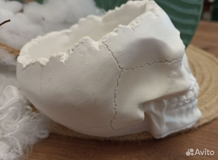 Статуэтка череп из гипса, искусственная паутина