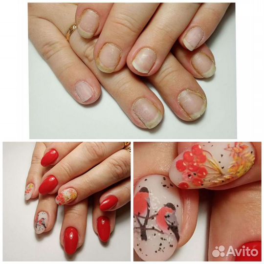 Маникюр/наращивание