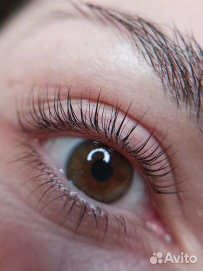 Требуются модели