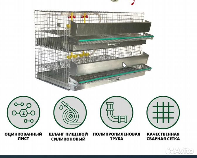 Клетка для перепелов или перепёлок на 60 голов