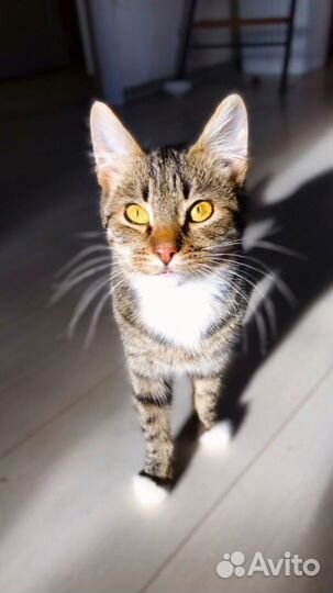 Выкинули на холод