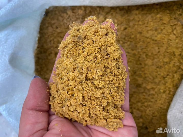 Соя экструдированная полножирная