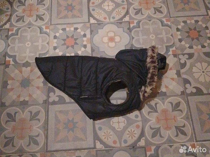 Комбинезон для маленькой собаки