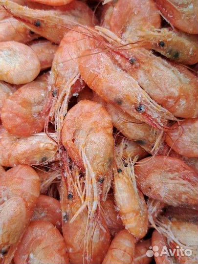Азовская креветка