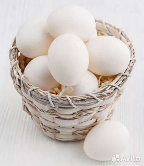 Утиные яйца